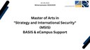 MSIS Basis Support.pdf