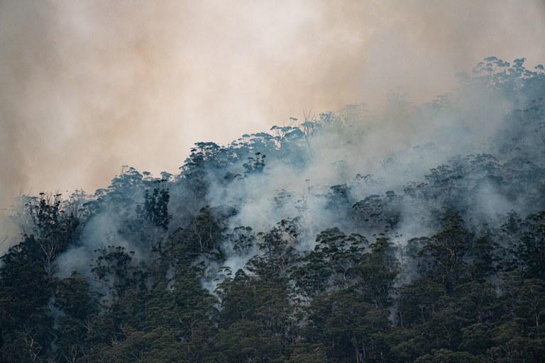 Klimawandel in Lateinamerika